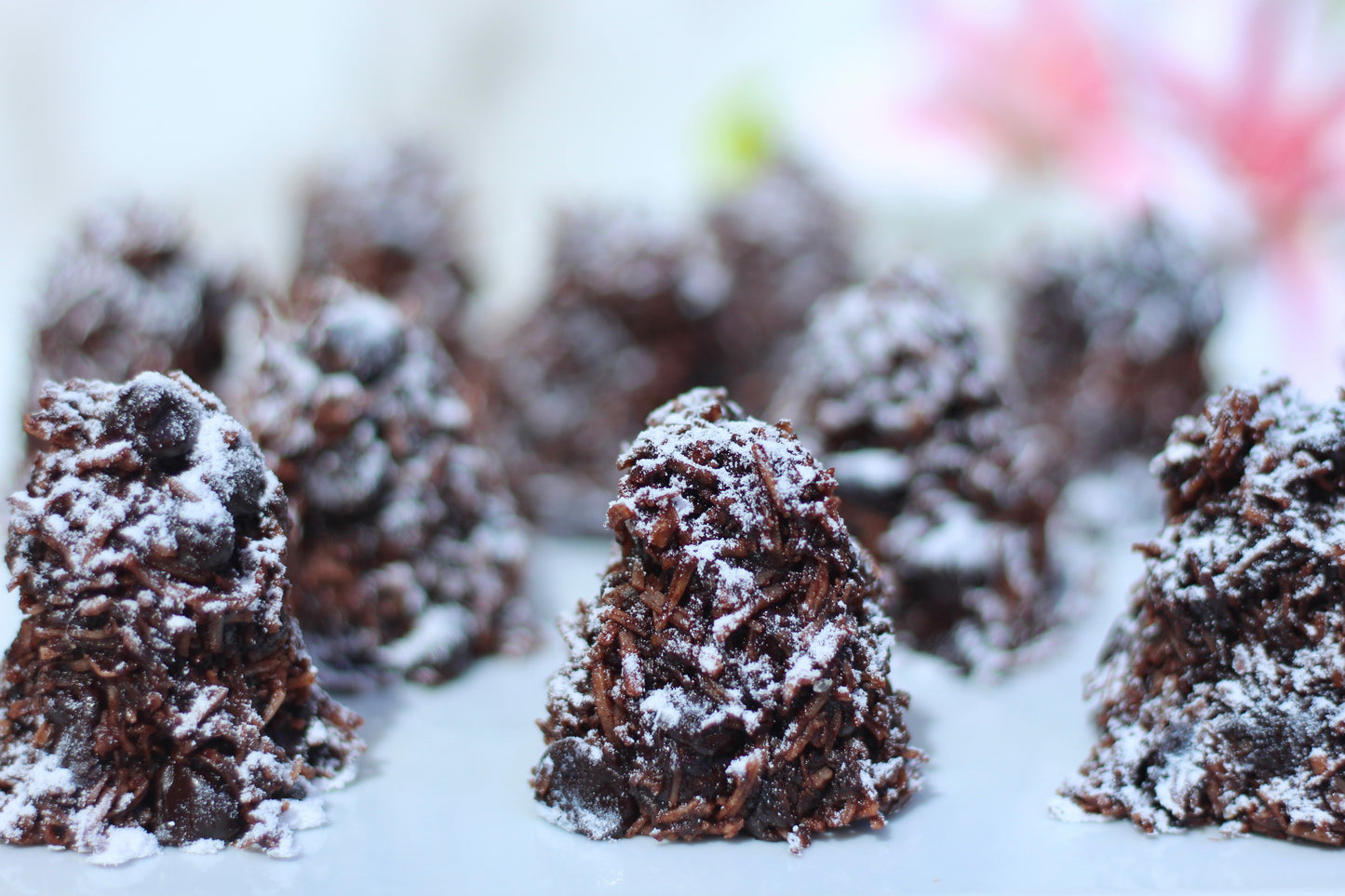 1 Dozen Mini Chocolate Cocadas